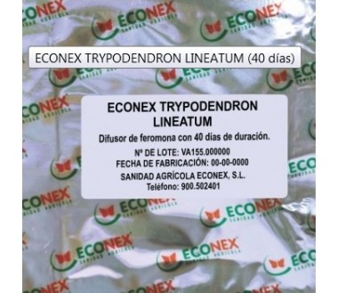 ECONEX TRYPODENDRON LINEATUM (40 días)