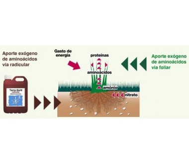 Terra-sorb Radicular