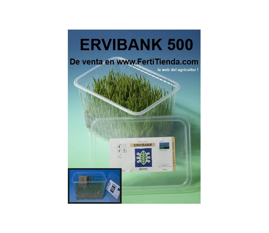 Ervibank 500 - Sitobion avenae