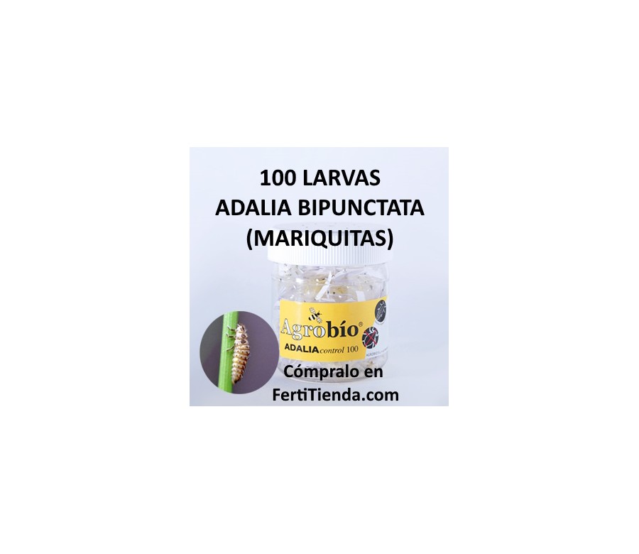 Adaliacontrol 100 Larvas mariquita bipunctata - Agrobío