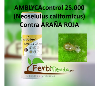 AMBLYCAcontrol 25.000 ácaros (Neoseiulus californicus contra araña roja)