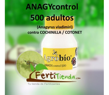 ANAGYcontrol 500 adultos (Anagyrus vladimiri contra cochinilla)