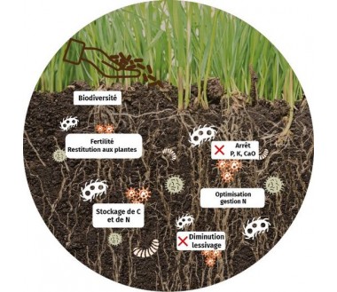 bacteriosol