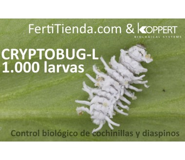 Cryptobug-L (1000 larvas. Control biológico cochinillas)
