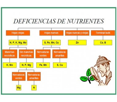 Deficiencias de nutrientes