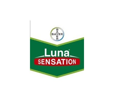 Luna Sensation, 1L (fungicida Bayer)