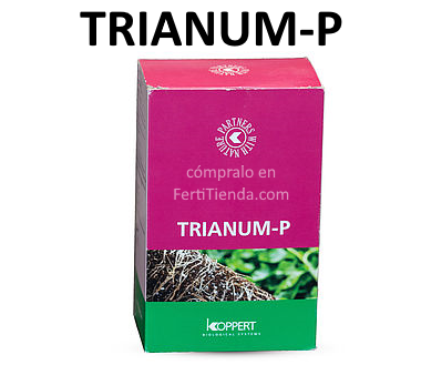 Trianum-P