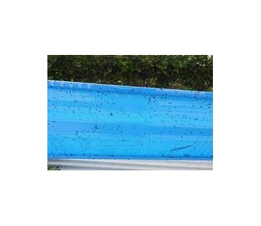 ECONEX ROLLO AZUL 100 M X 15 CM