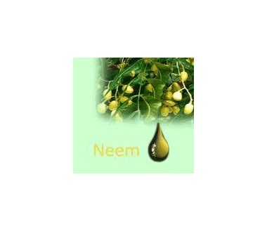 aceite de neem