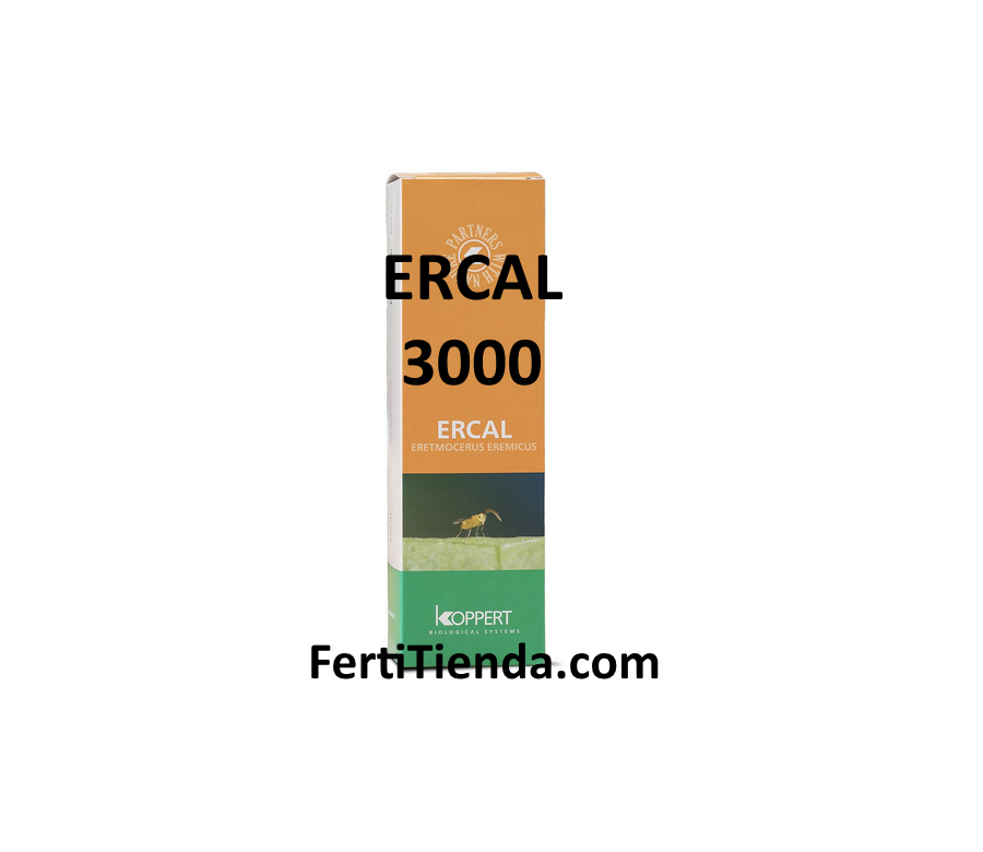 Ercal 3000 Eretmocerus Eremicus