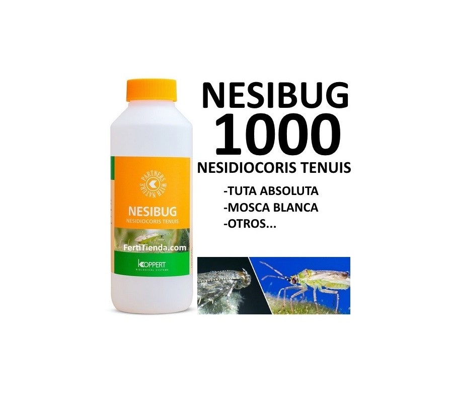 Nesibug 1000 - Nesidiocoris tenuis (tuta absoluta y mosca blanca)