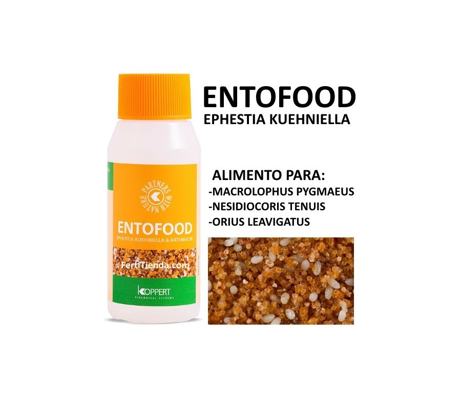 Entofood 10 (Ephestia kuehniella) alimento