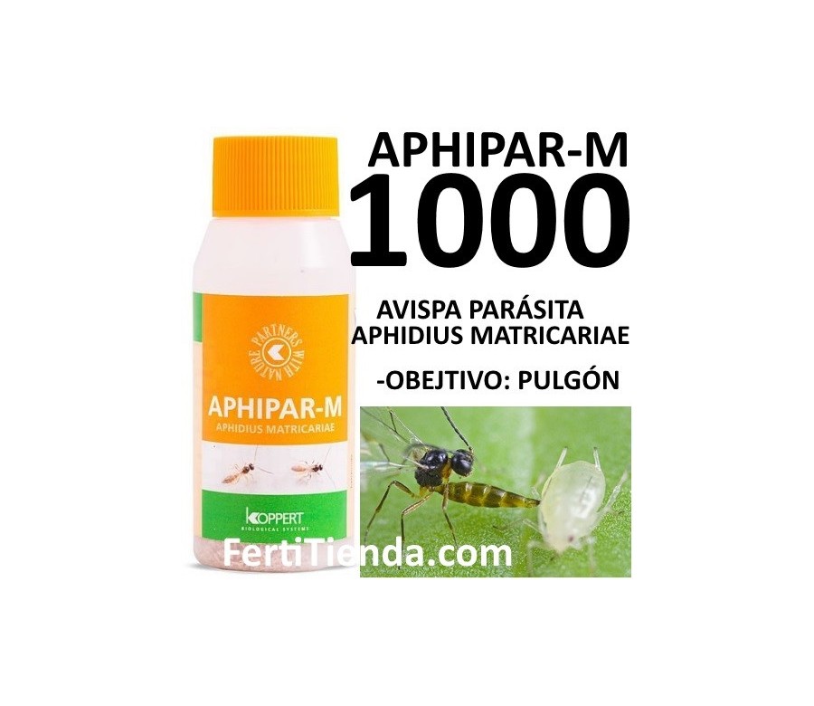 Aphipar-M 1000 - Aphidius Matricariae
