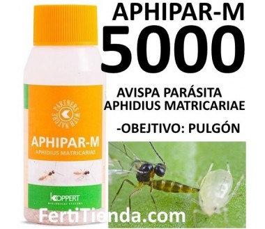 Aphipar-M 5000 - Aphidius Matricariae