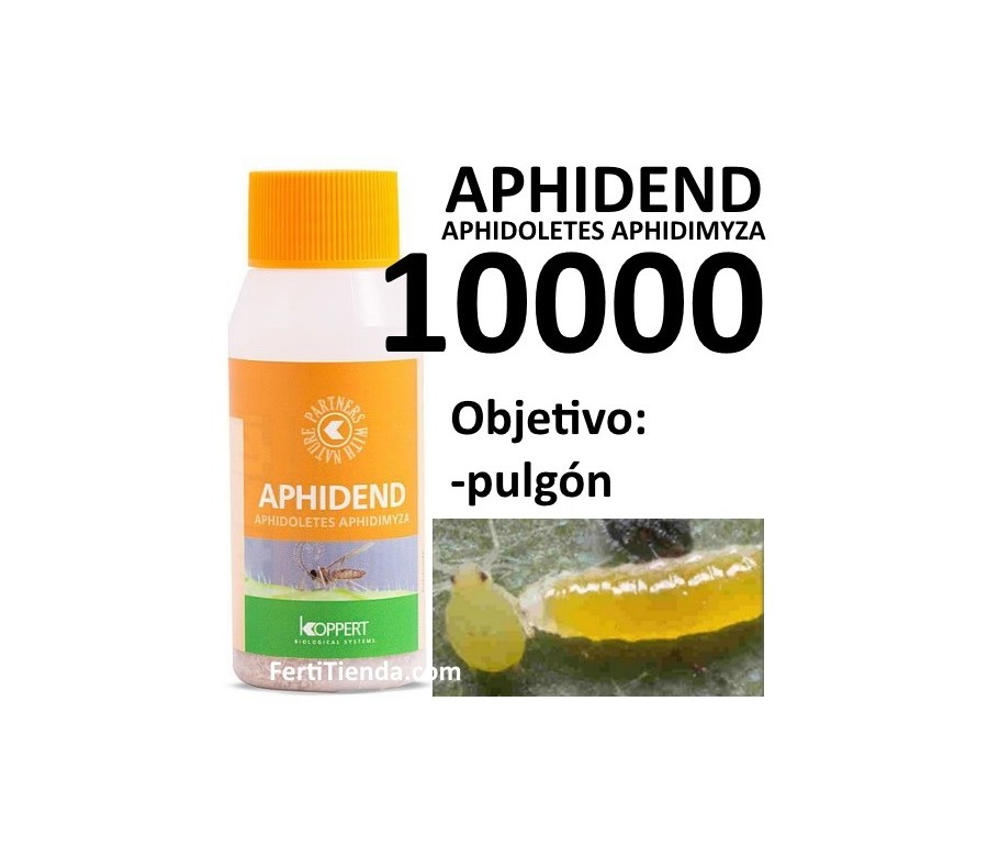 Aphidend 10000 - Aphidoletes aphidimyza