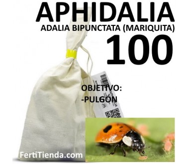 Aphidalia 100 - Adalia bipunctata (mariquitas)