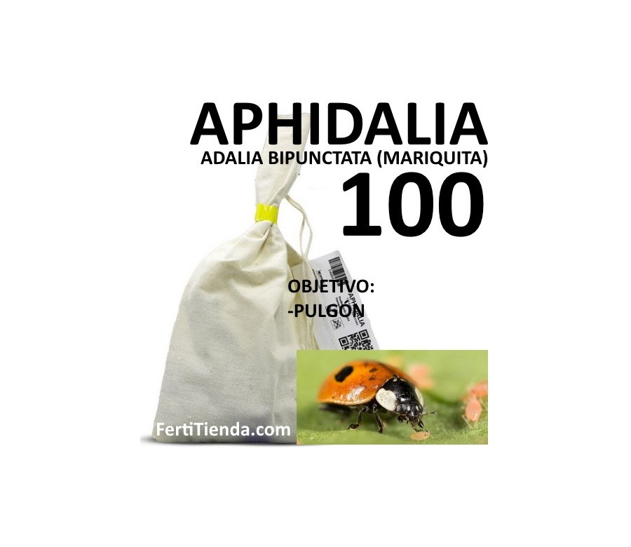 Aphidalia 100 - Adalia bipunctata (mariquitas)