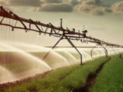 Técnicas de Riego Eficientes: La Innovación en la Agricultura Moderna